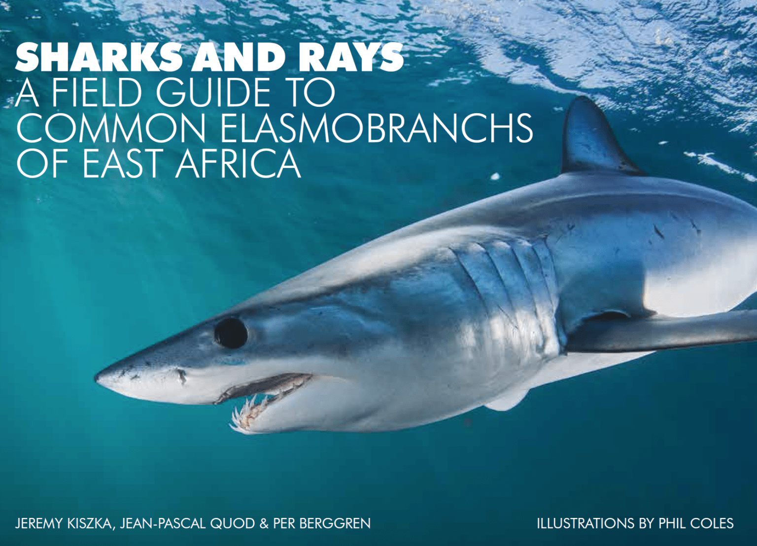 Publications • Marine Conservation Ecology Lab