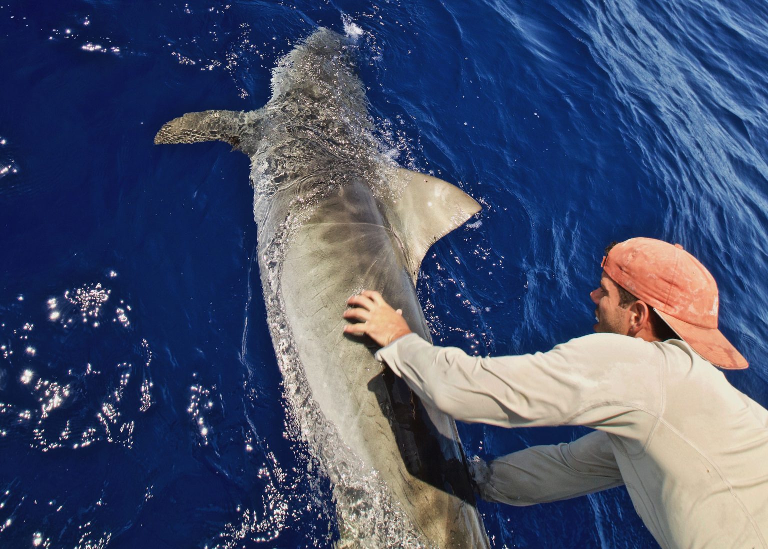 Marine Conservation Ecology Lab